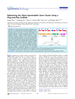 Refactoring the Silent Spectinabilin Gene Cluster Using a Plug