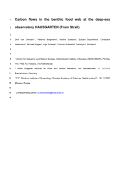 Structure and stability of the benthic food web at the HAUSGARTEN