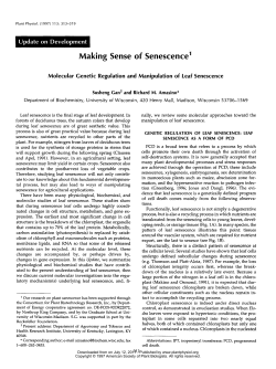 Making Sense of Senescence