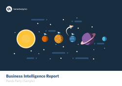 Business Intelligence Report
