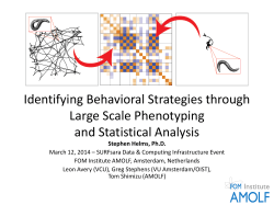 Identifying Behavioral Strategies by Large Scale Phenotyping