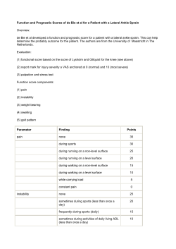 Function and Prognostic Scores of de Bie et al for a Patient with a