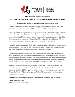 2016 canadian blind hockey western regional