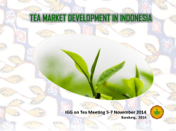 Tea market development in Indonesia