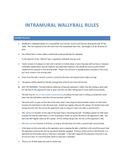 intramural wallyball rules