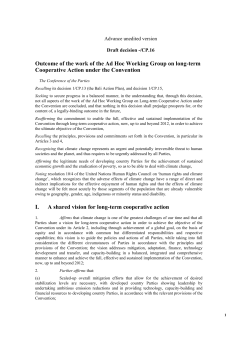 Outcome of the work of the Ad Hoc Working Group on long-term