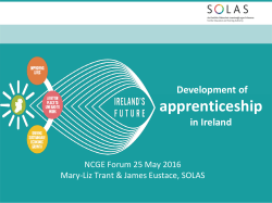 Development of apprenticeship in Ireland
