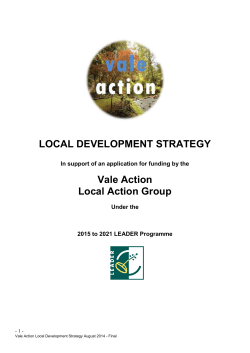 LOCAL DEVELOPMENT STRATEGY Vale Action