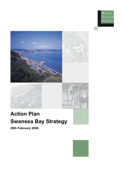 action Plan swansea Bay strategy