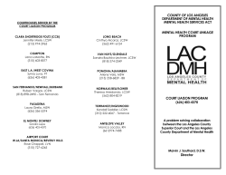 Court Liaison Program Brochure