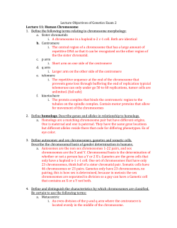 Lecture Objectives of Genetics Exam 2 Lecture 11: Human Chromosome