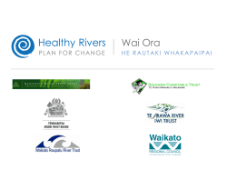 Economic overview and future work