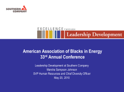 Leadership Development Strategy - American Association of Blacks