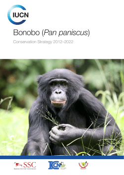 Bonobo (Pan paniscus): Conservation Strategy 2012&ndash;2022. Gland