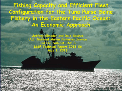 Fishing Capacity and Efficient Fleet Configuration for the