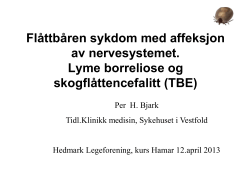 Ingen lysbildetittel