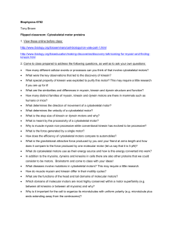 Cytoskeletal motor proteins discussion questions