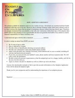 Adoption Contract