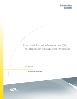 Enterprise Information Management (EIM)