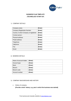 IdeaNav business plan template