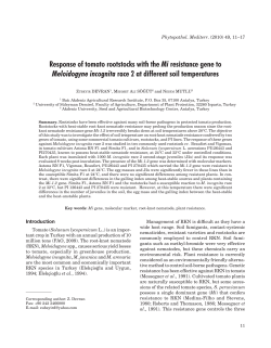 Response of tomato rootstocks with the Mi resistance gene to