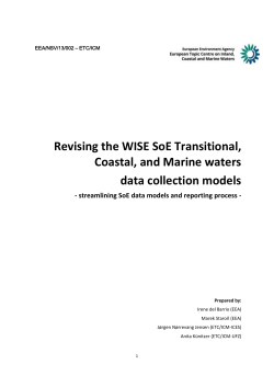 Products derived from the WISE SoE marine dataflows