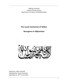 The causal mechanism of Taliban resurgence in Afghanistan