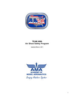 TEAM AMA Air Show Safety Program