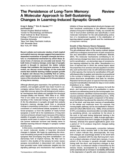 Review The Persistence of Long