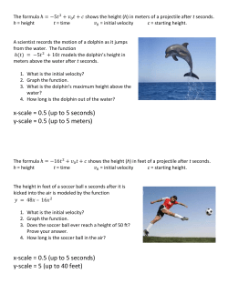 models the dolphin`s height in