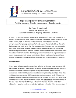Big Strategies for Small Businesses: Entity Names, Trade Names