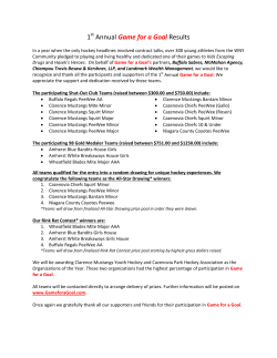 1st Annual Game for a Goal Results