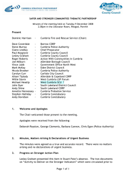 SAFER AND STRONGER COMMUNITIES THEMATIC