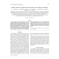moving cheaply: energetics of walking in the african elephant