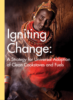 A Strategy for Universal Adoption of Clean Cookstoves and Fuels