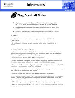 Flag Football Penalty Enforcement