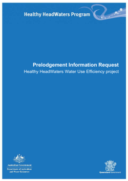 Prelodgement information request form