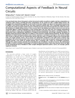 Computational Aspects of Feedback in Neural Circuits