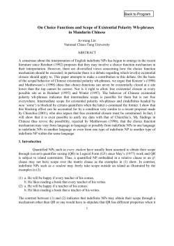 On Choice Functions and Scope of Existential Polarity Wh