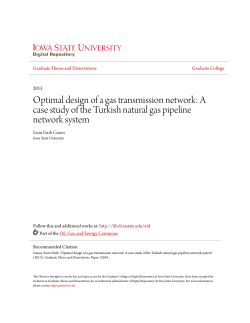 Optimal design of a gas transmission network: A case study of the
