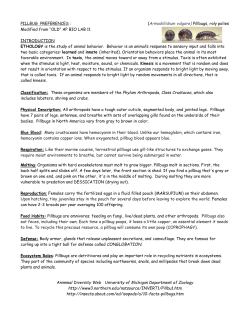 ENVIRONMENTAL CHOICE BY PILLBUGS You will be conducting