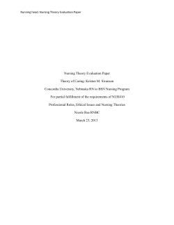 Nsg 410&ndash;Nursing Theory Evaluation Paper-N