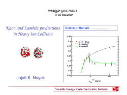 ICPAQGP-2010, GOA, INDIA Lambda production