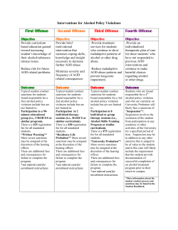 First Offense Second Offense Third Offense Fourth Offense