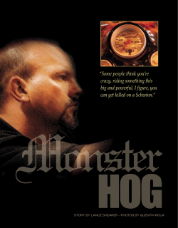 Marco`s Motorcycles with Muscle