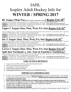 IAHL Iceplex Adult Hockey Info for WINTER / SPRING 2017