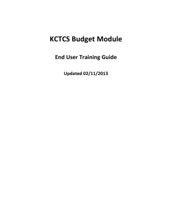 Budget Module Instructions
