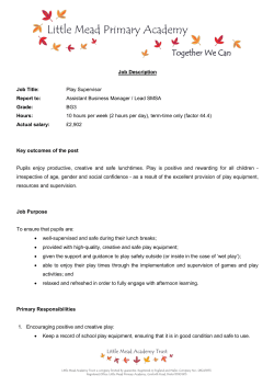 Job Description Job Title: Play Supervisor Report to