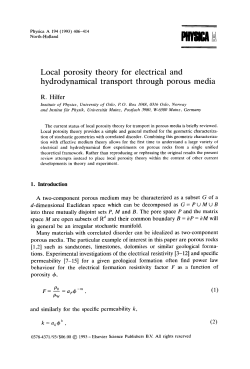 Local porosity theory for electrica 1 and