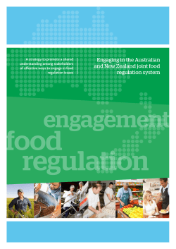 Printable version of the Stakeholder Engagement Strategy